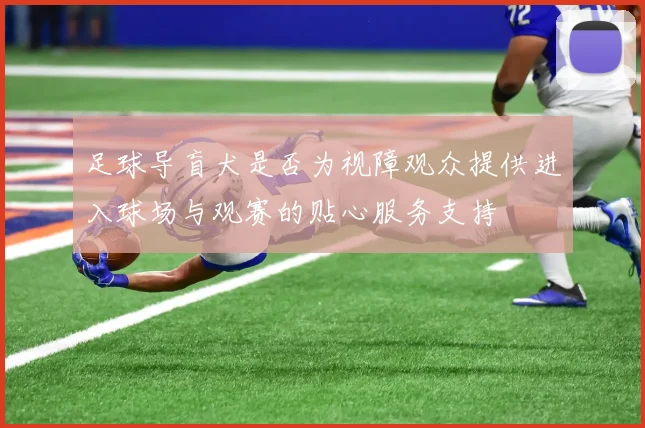 足球导盲犬是否为视障观众提供进入球场与观赛的贴心服务支持