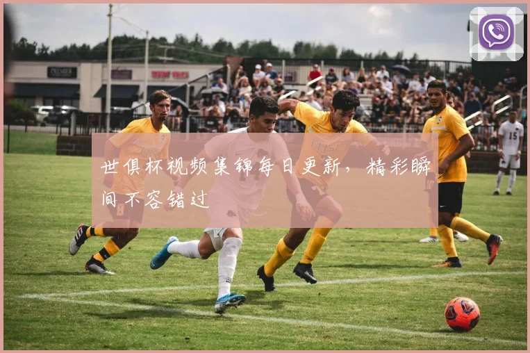 世俱杯视频集锦每日更新,精彩瞬间不容错过
