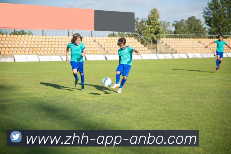 安博体育平台生态图